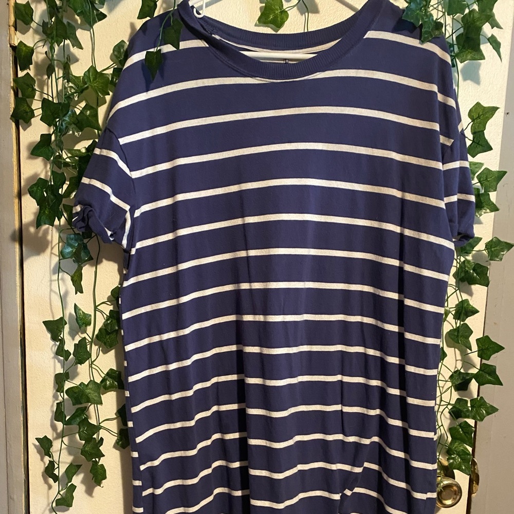 Time and Tru Blue and White Stipped dress